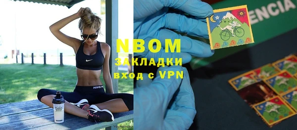 молекула духа Богданович