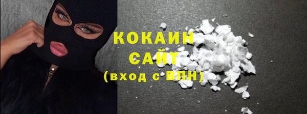 дживик Богородицк