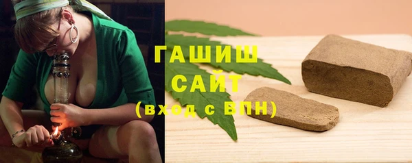 молекула духа Богданович