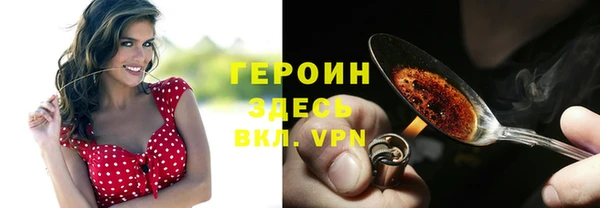 дживик Богородицк