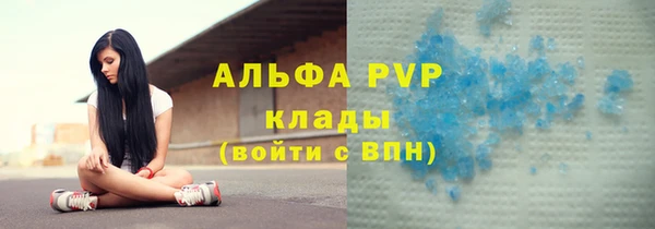 дживик Богородицк