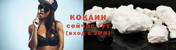 молекула духа Богданович