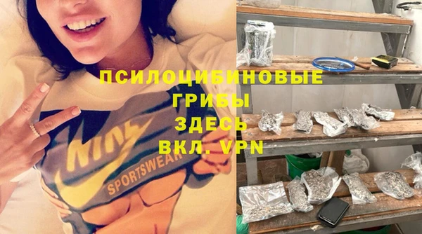 молекула духа Богданович