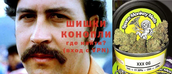 дживик Богородицк