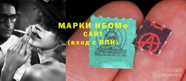 молекула духа Богданович