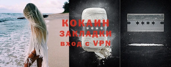 дживик Богородицк