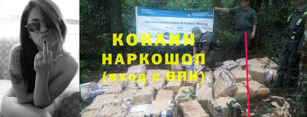 молекула духа Богданович