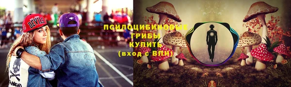 дживик Богородицк