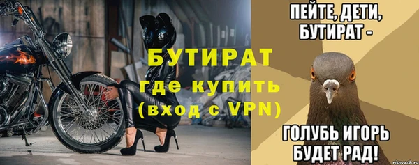 молекула духа Богданович