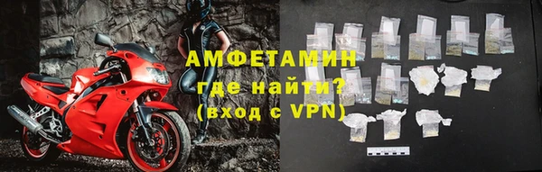 молекула духа Богданович