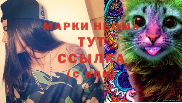 дживик Богородицк