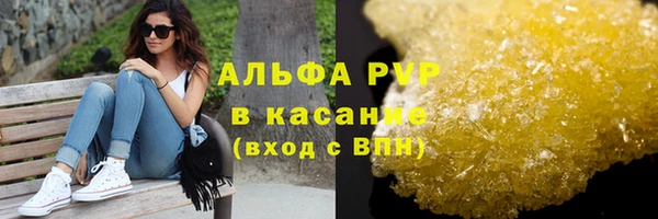 молекула духа Богданович